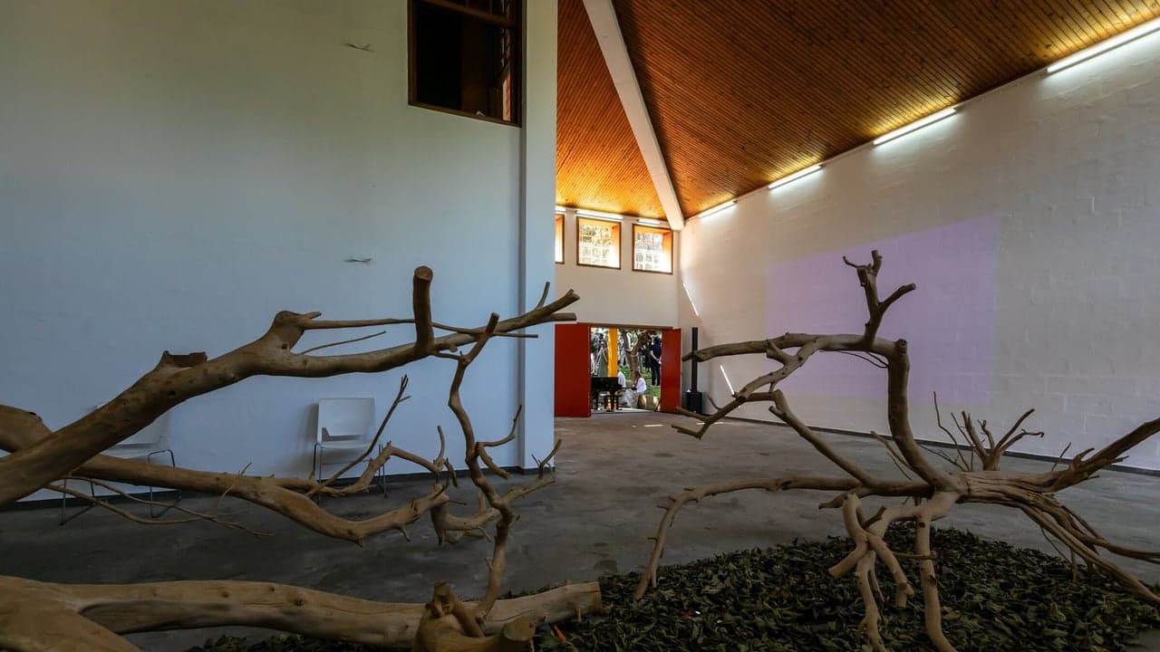 Imagem da notícia: Atelier-Oficina Alberto Carneiro abre em São Mamede do Coronado