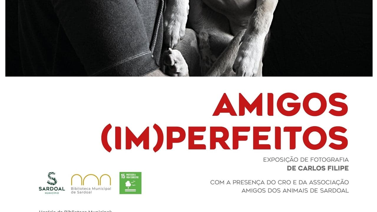 Imagem da notícia: Exposição «Amigos (Im)Perfeitos» celebra resiliência animal