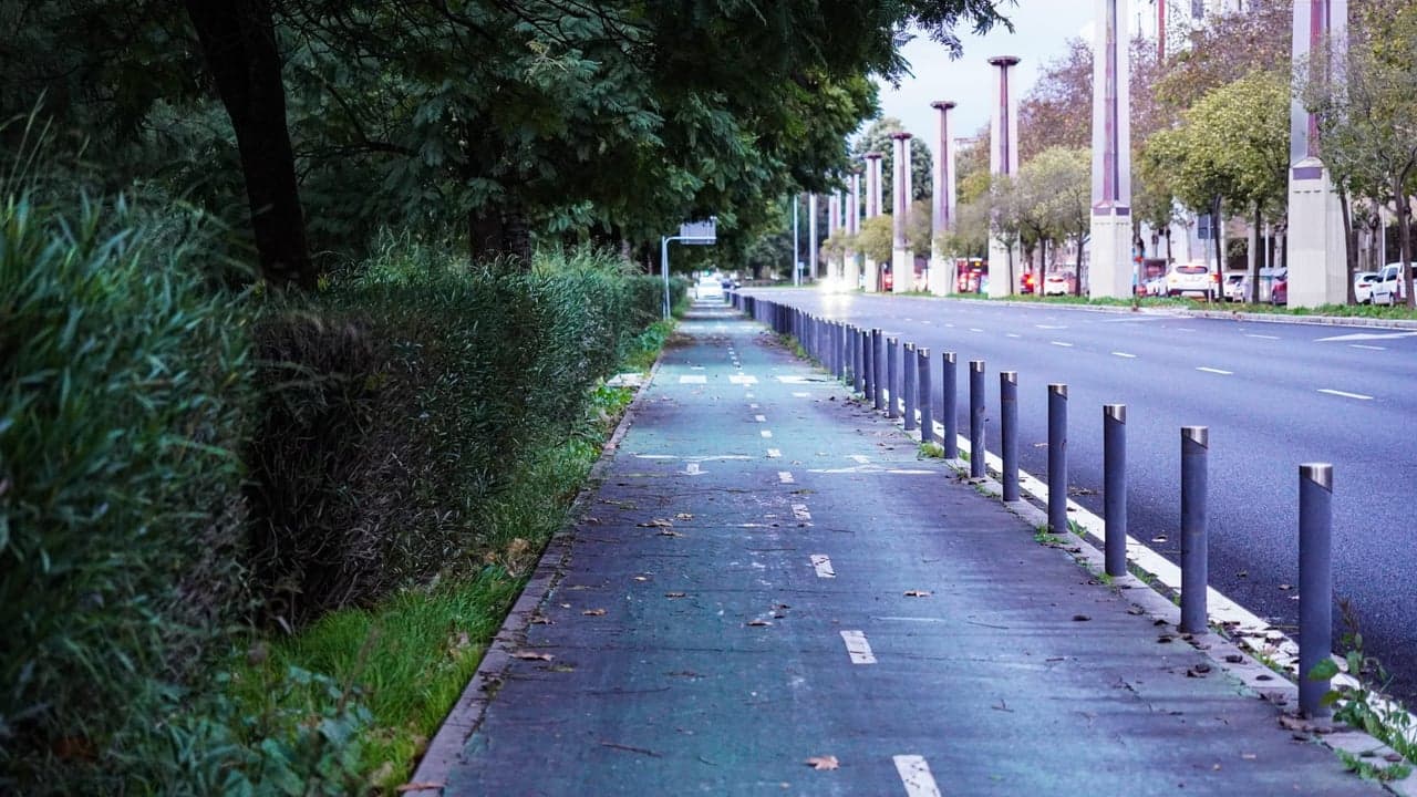 Imagem da notícia: Seixal associa-se à Semana Europeia da Mobilidade