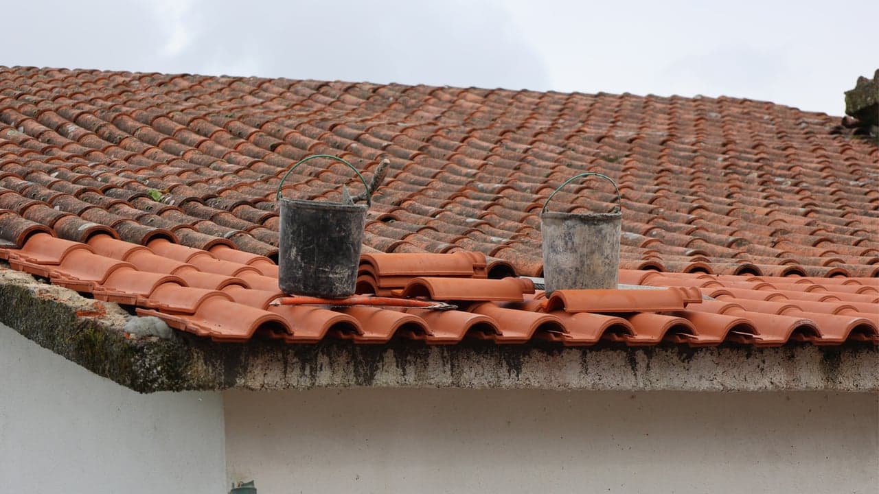Imagem da notícia: Recuperação de habitações na Sertã já ultrapassou 2 milhões de euros