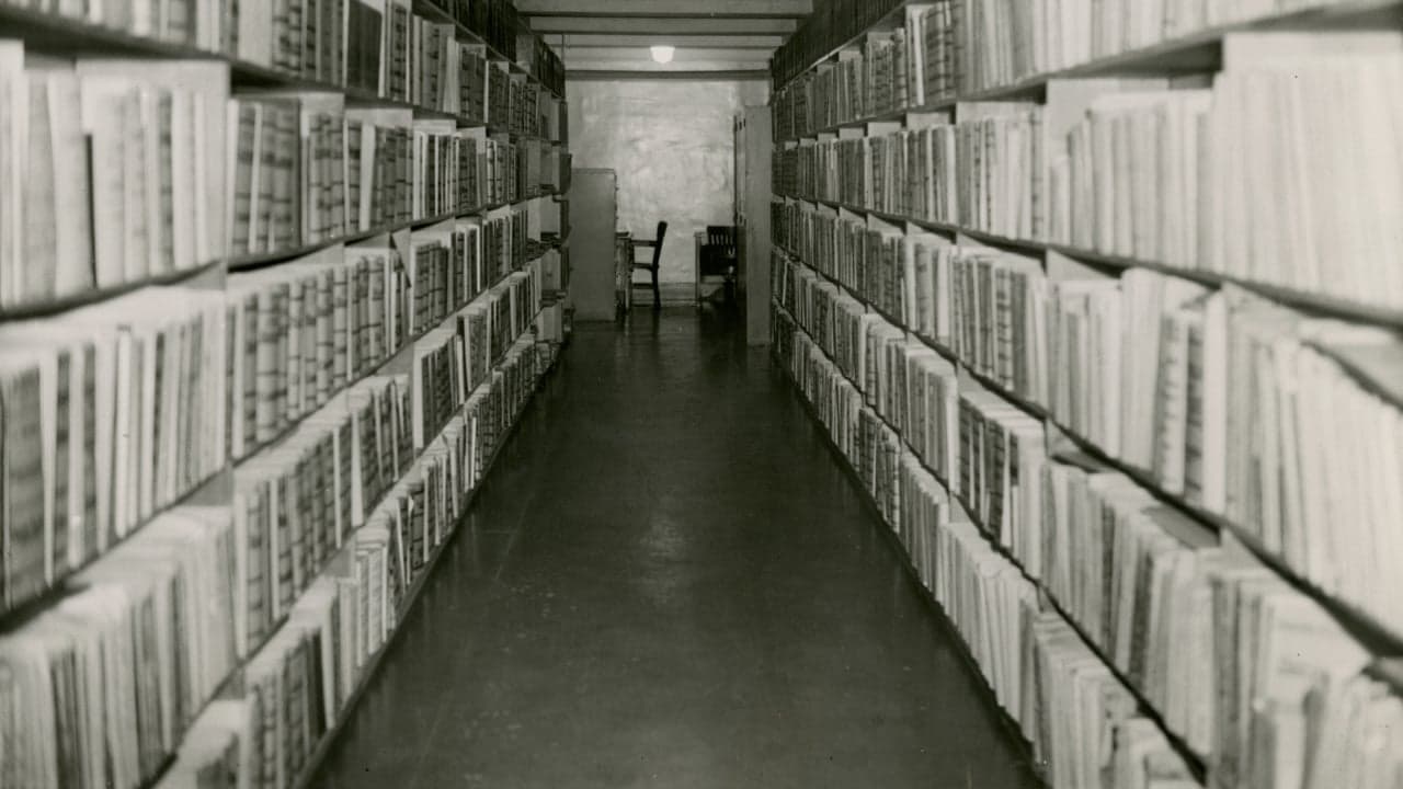 Imagem da notícia: Bibliotecas de Sintra com programação cultural em setembro