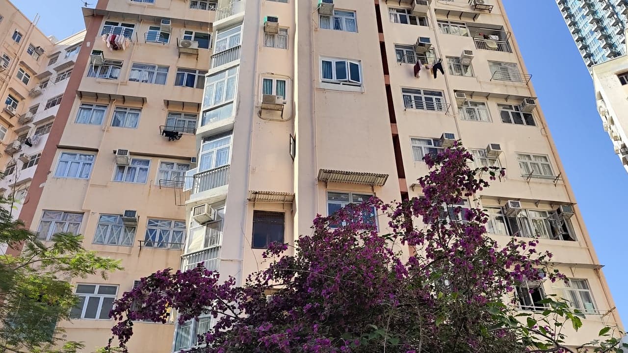 Imagem da notícia: Programa Reaviva apoia conservação de edifícios em Sintra