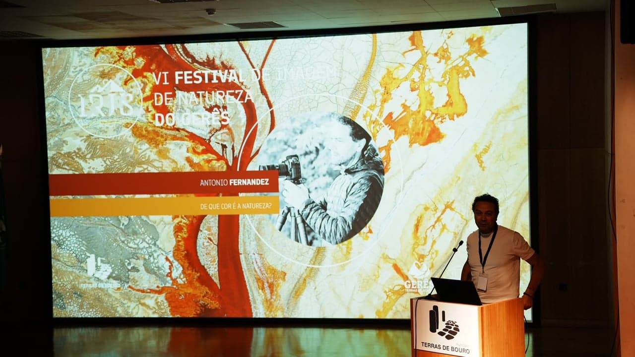Imagem da notícia: Sexta edição do Festival IRIS encerra com exposições e prémios