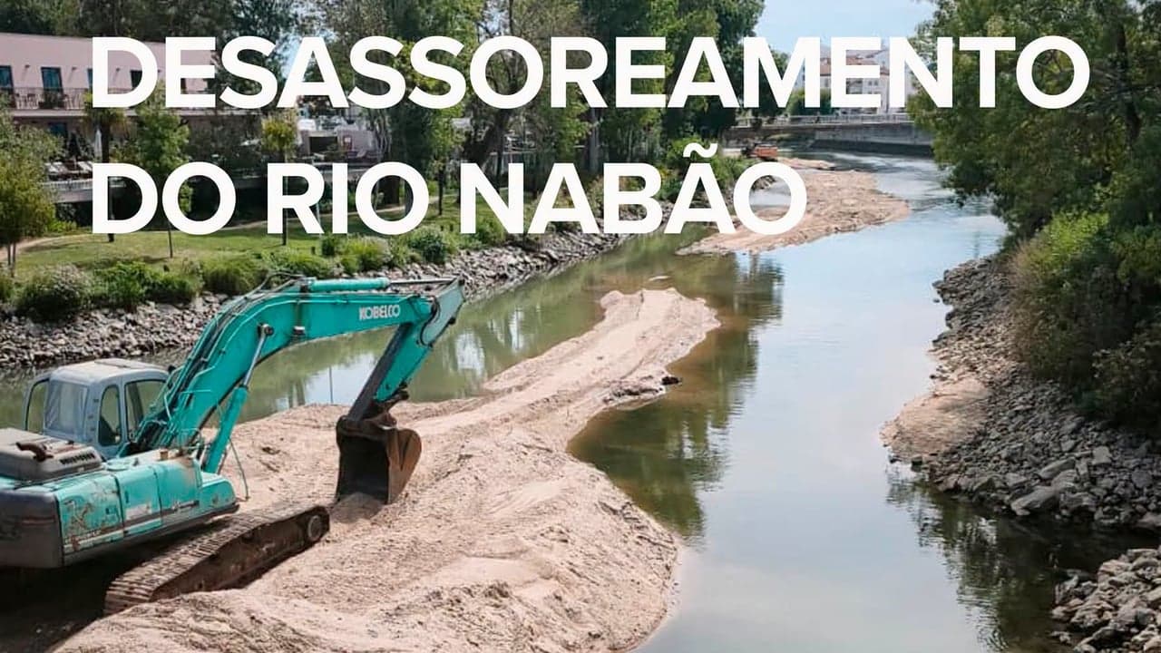 Imagem da notícia: Câmara inicia limpeza do rio Nabão na zona urbana