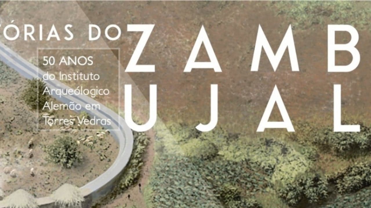 Imagem da notícia: Exposição sobre 50 anos de arqueologia no Zambujal