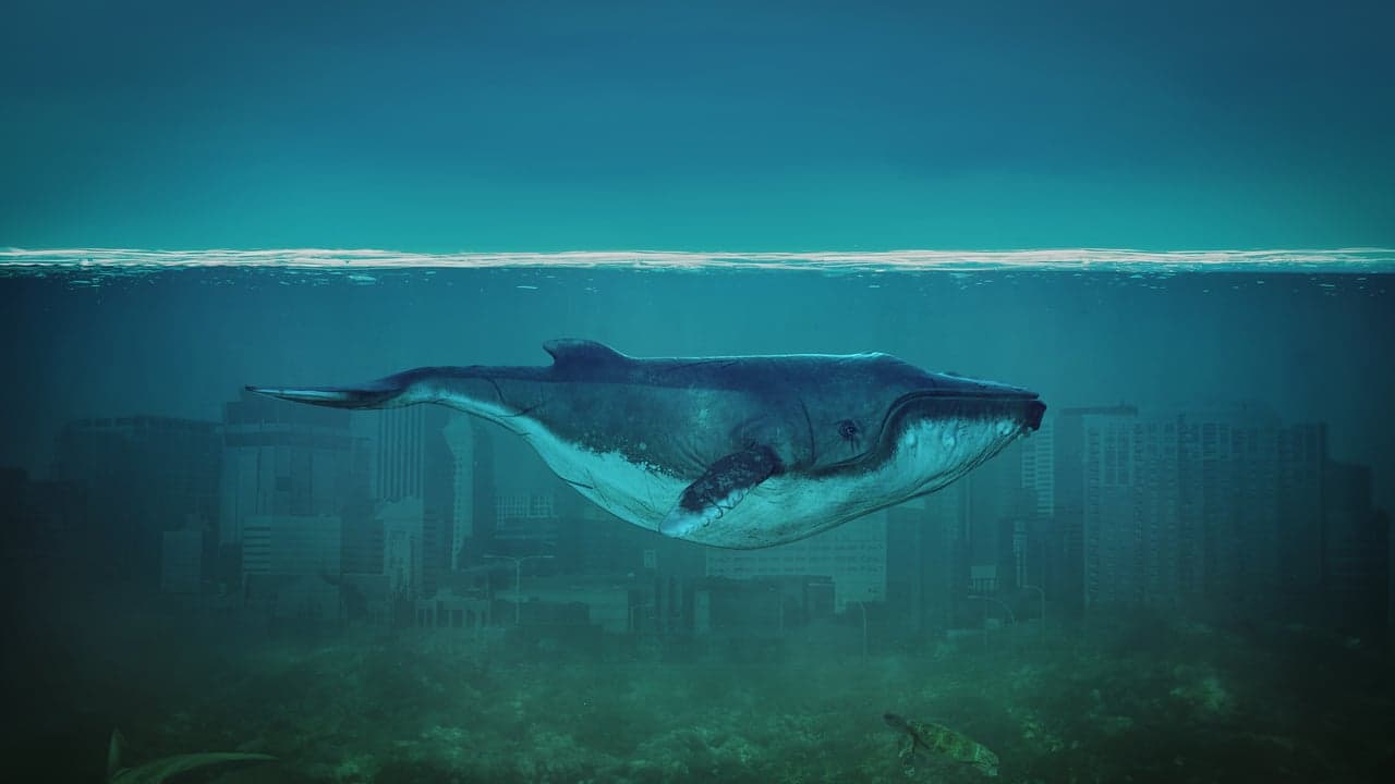 Imagem da notícia: Exposição de pintura sobre o oceano na Biblioteca Municipal