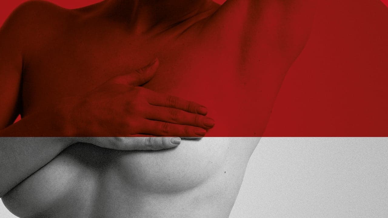 Imagem da notícia: Rastreio de cancro da mama regressa ao concelho