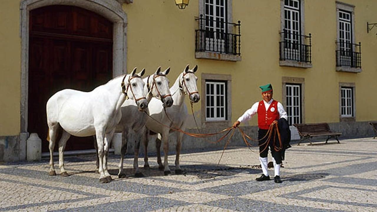 Imagem da notícia: Workshop Internacional de Alergia e Hipersensibilidade Equina