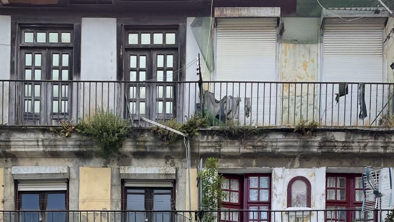 Imagem da notícia: Câmara de Gaia entrega 19 habitações municipais reabilitadas