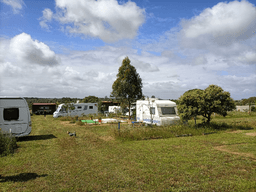 Logótipo de Terra Nua Campismo Naturista — Alojamento em Aljustrel