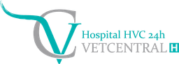 Logótipo de Hospital Veterinário Central — Saúde em Almada