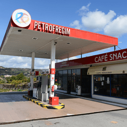 Logótipo de Petrofregim — Automóvel em Amarante