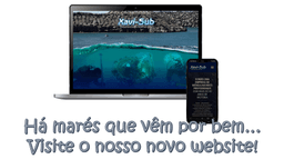 Logótipo de Xavi-sub — Serviços em Aveiro