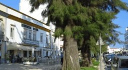 Logótipo de Residencial Avenida — Alojamento em Faro