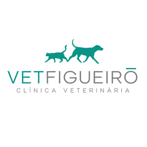 Logótipo de VetFigueiró - Clínica Veterinária — Saúde