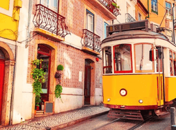 Logótipo de IVI Lisboa — Saúde em Lisboa
