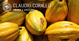Logótipo de Niccolo & Bettina Corallo Cacao e Caffé — Restauração em Lisboa