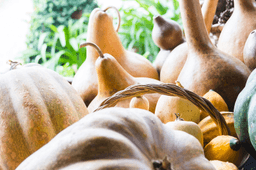 Logótipo de Quinta de Além do Ribeiro — Alojamento em Lousã