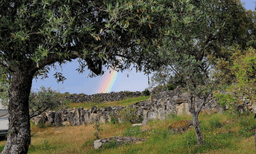 Logótipo de Campscape Beira Marvao — Alojamento em Marvão