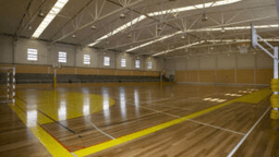 Logótipo de Pavilhão Desportivo Noronha Feio — Desporto em Oeiras