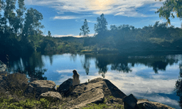 Logótipo de Vila Akoya - Eco Campsite — Alojamento em Ourique