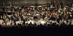 Logótipo de Academia de Música de Costa Cabral — Educação em Porto