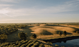 Logótipo de Vinícola Cortes de Cima — Comércio em Vidigueira