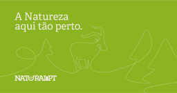 Logótipo de Centro de Informação e Interpretação do Parque Natural do Alvão — Cultura & Lazer